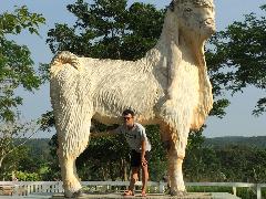 Kian Kian