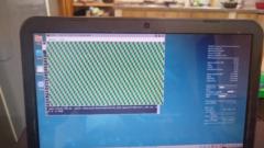 Yobanys Mora Beleño