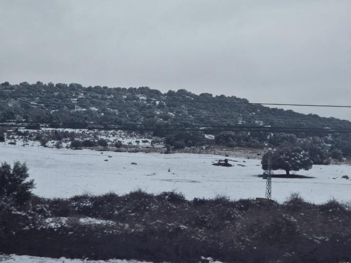 Eduardo Alonso Etchaberry