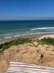 קסם גרינברג