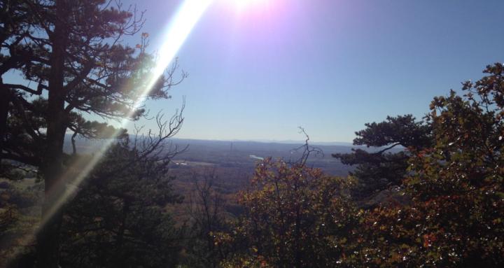 The Bueno DollaPalooza Club