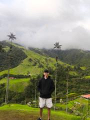 David Palmito