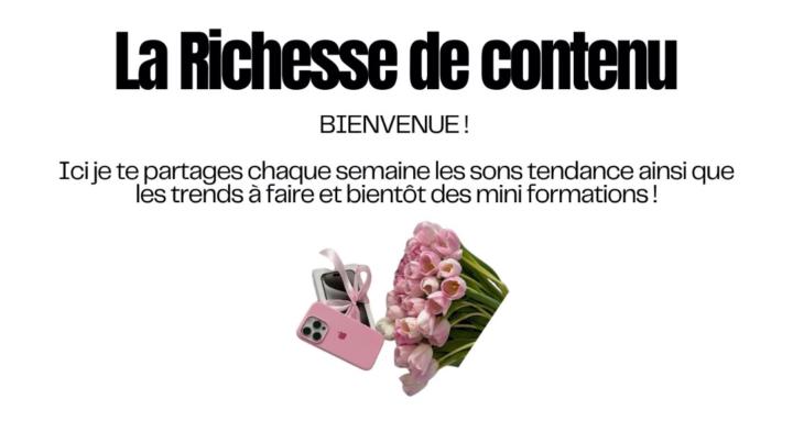 La Richesse de contenu