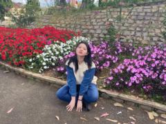 Vi Lam