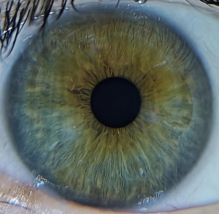 Richar CasaDeLaLeña