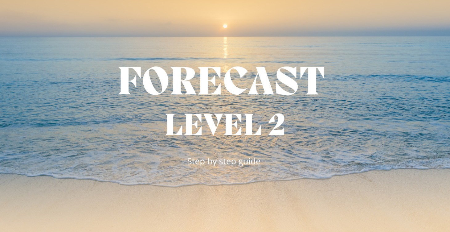 FORECAST LEVEL 2