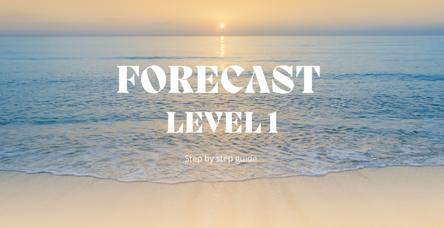 FORECAST LEVEL 1