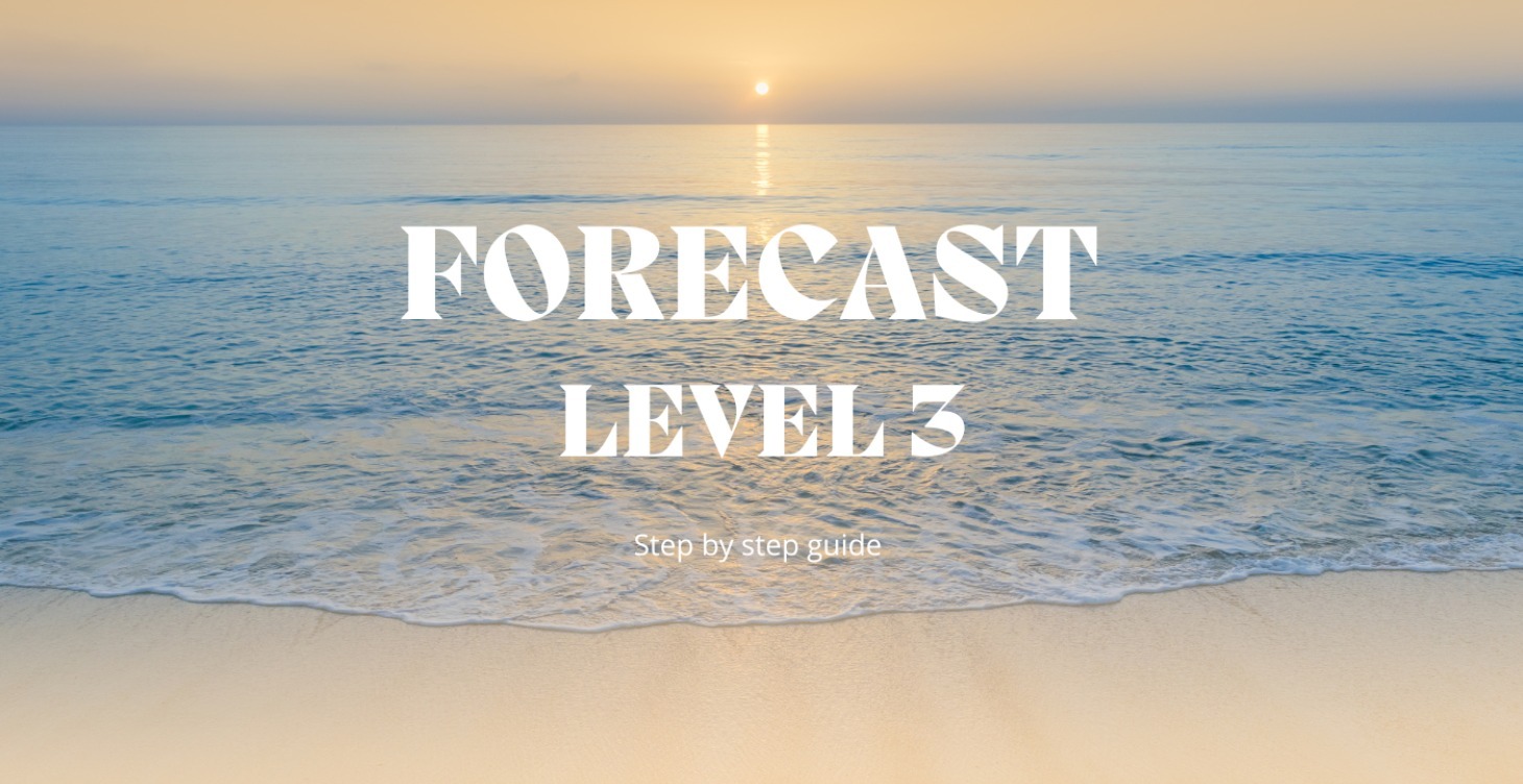 FORECAST LEVEL 3