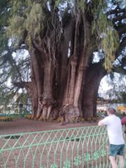 Henry Ramírez Aguilar