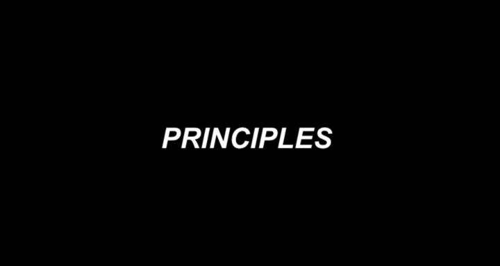 PRINCIPLES