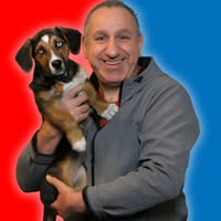 Saro Boghozian