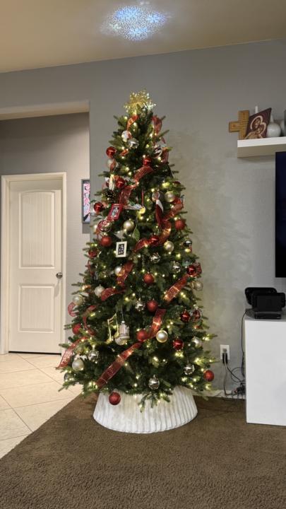 🎄 Show us your Christmas decor! 🎄