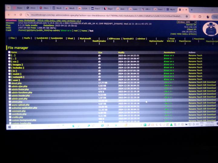 My website isn't showing anymore 