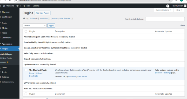 WORDPRESS- ENQUIRY ABOUT PLUGIN EDITING