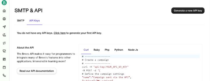 API Key not Displayed
