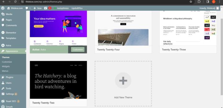 Lesson 1.25 Astra options