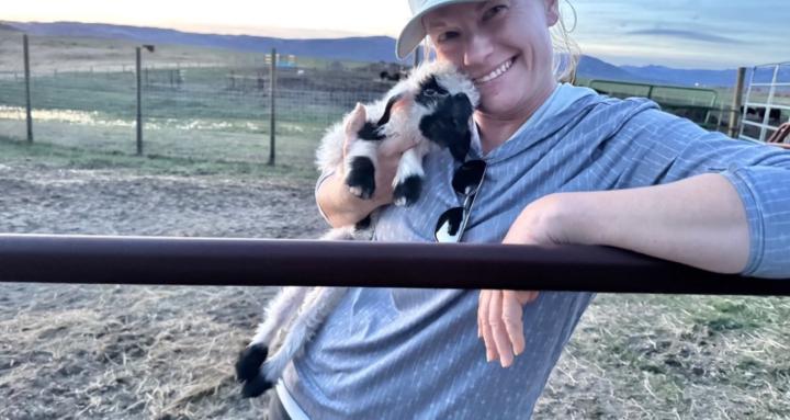 Valais Blacknose Sheep Breedup