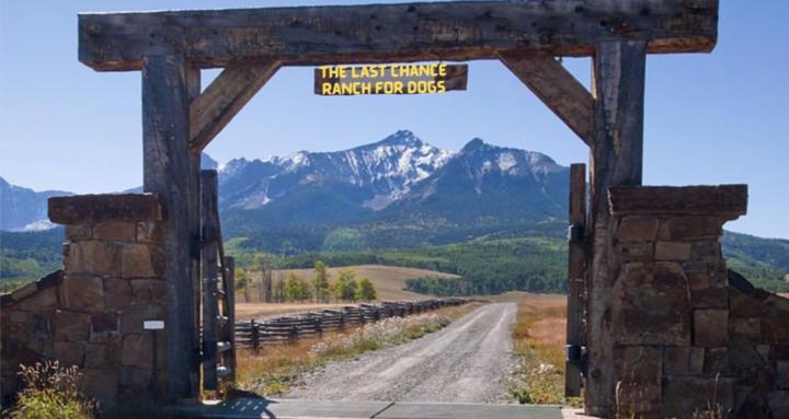 Last Chance Ranch for Dogs