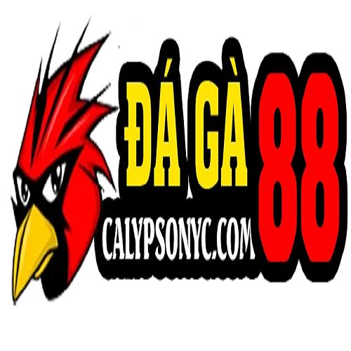 Daga đá gà Trực tiếp thomo