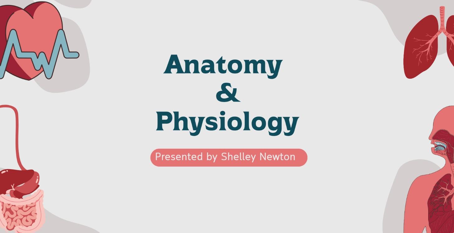 Module 1 - Introduction to the Human Body