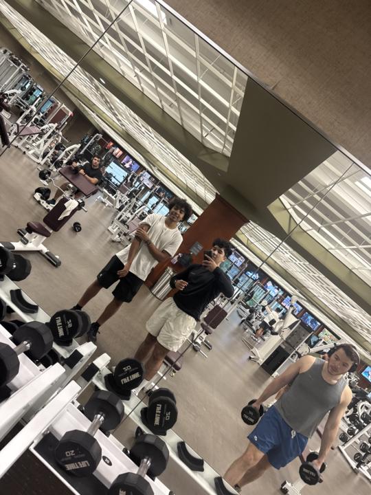 Gym w brayden