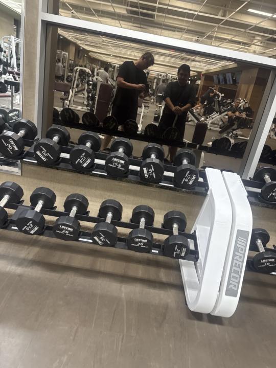 Gym morning session 