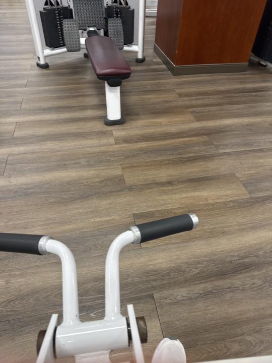Friday Gym