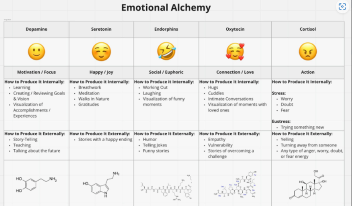 How to Influence Your Emotions & The Emotions of Others 🧬