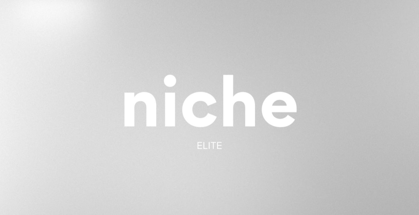 Trouver une niche