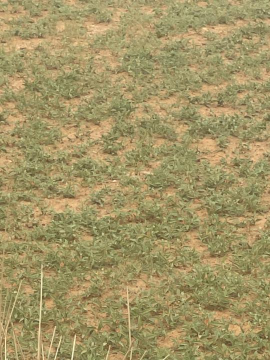 Med abderahman Elkaleve