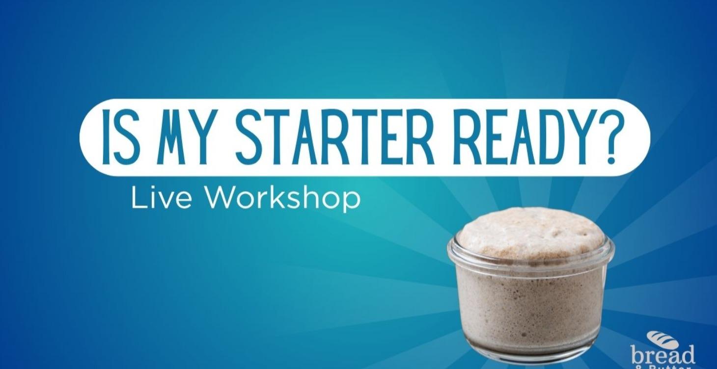 Is My Starter Ready? - Replays & Resources