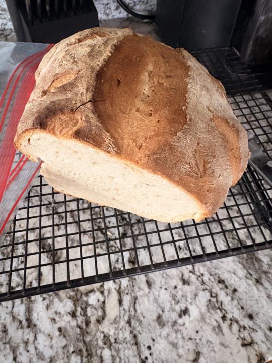 My first loaf or is it loave? 😳