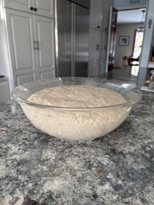 Whole wheat sourdough 