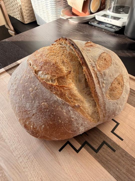 Thanksgiving sourdough bread 