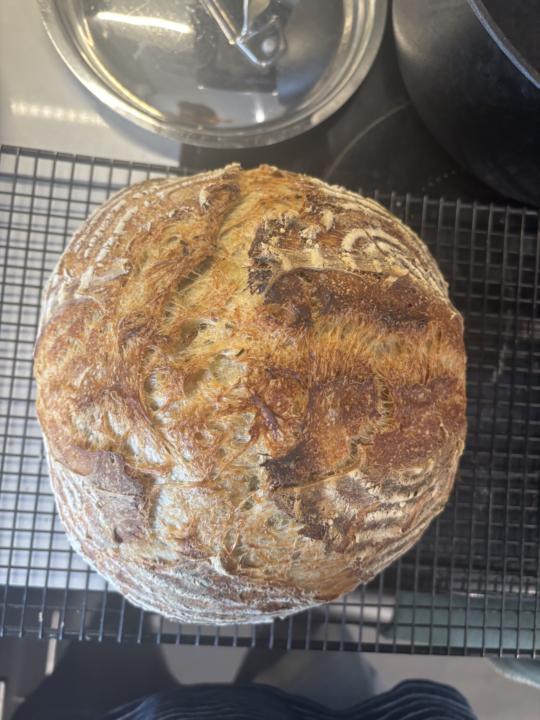 1st herb loaf 