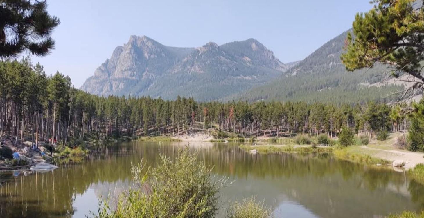 Poet's Studio -- Let's Get Specific