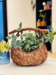 潘 麗娟