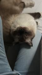 Aleksandra Bytner-Pawińska