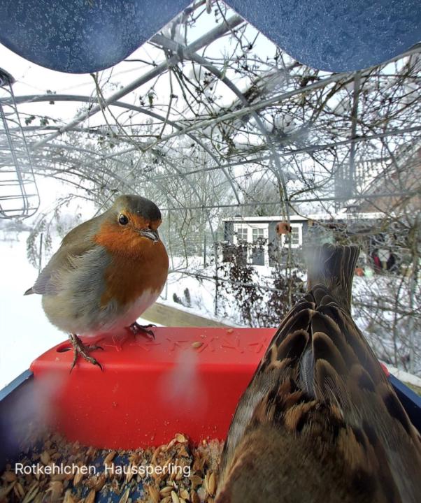 Javier Martín Langerwerf