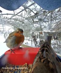 Javier Martín Langerwerf