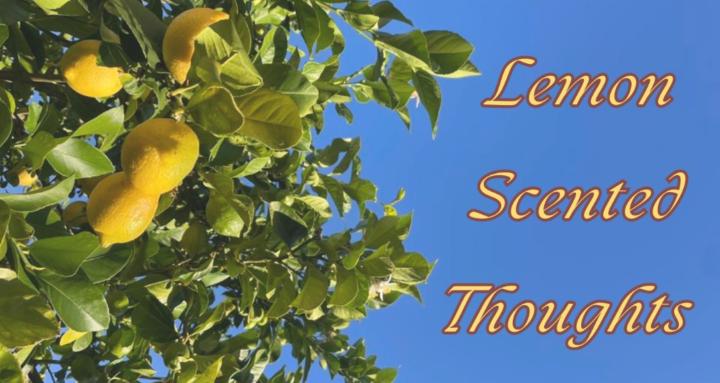 Lemon Scented Thoughts