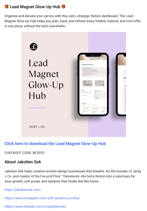 ✨ Lead magnet / freebie chaos? Let’s fix that, love!