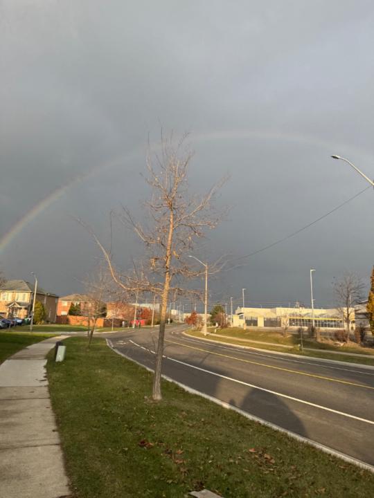 Schevon Sandy-Mitchell