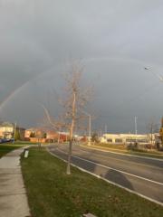 Schevon Sandy-Mitchell