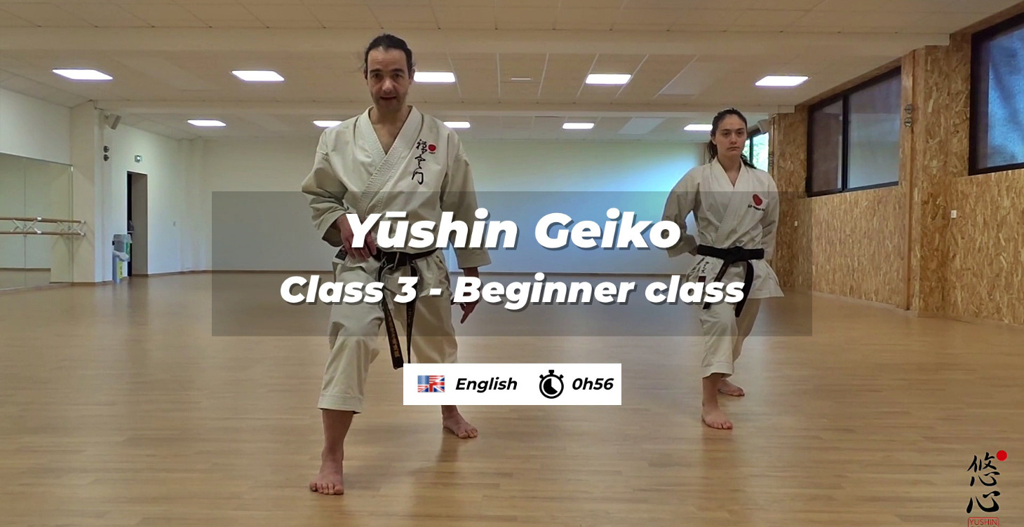 Yūshin Geiko Beginner Course #1