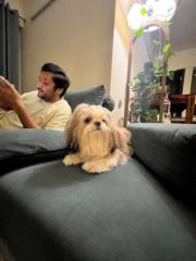 Shivanshu Khandelwal