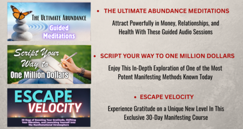 Law of Attraction VIP Academy gallery image