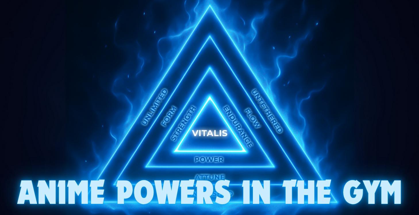 The Aniflex Power System