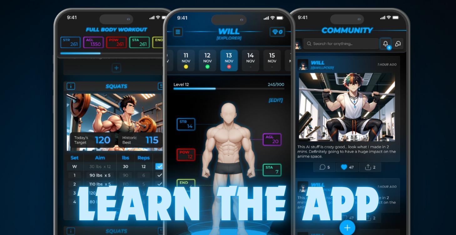 How to use the Aniflex App