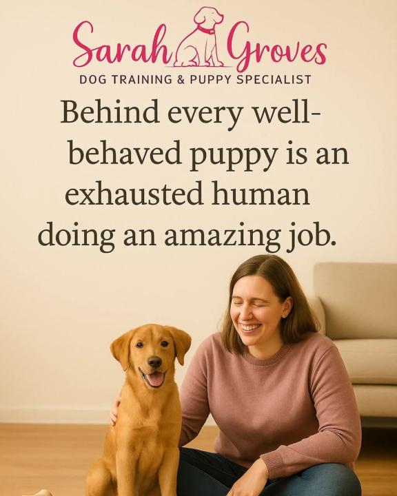 A little shoutout to my puppy owners… 🐾